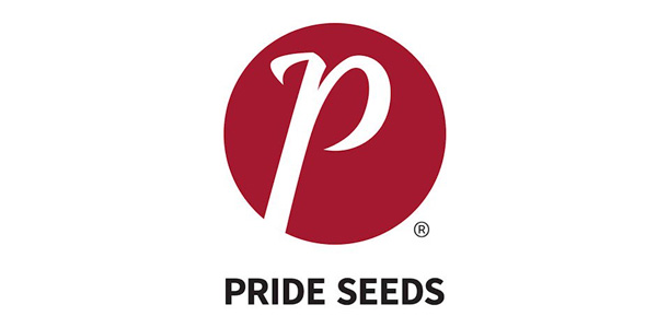 Pride Seed